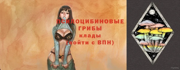 прущие крисы Арсеньев