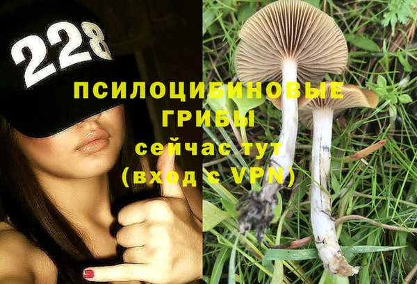 а пвп мука Аркадак