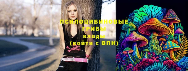 прущие крисы Арсеньев