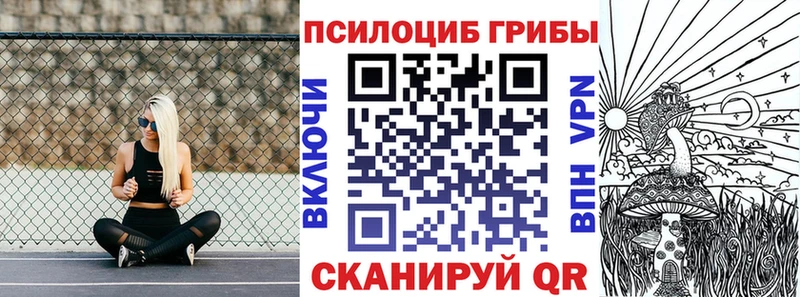 OMG как войти  Сорочинск  Псилоцибиновые грибы Psilocybine cubensis 